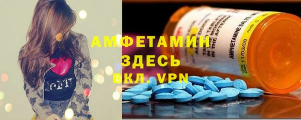 ешки Горняк