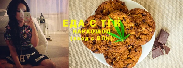 ешки Горняк