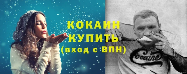 ешки Горняк