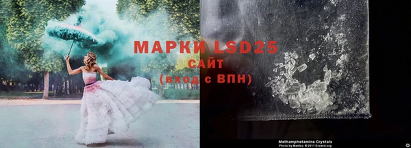 ешки Горняк